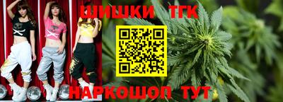 амф Дубна