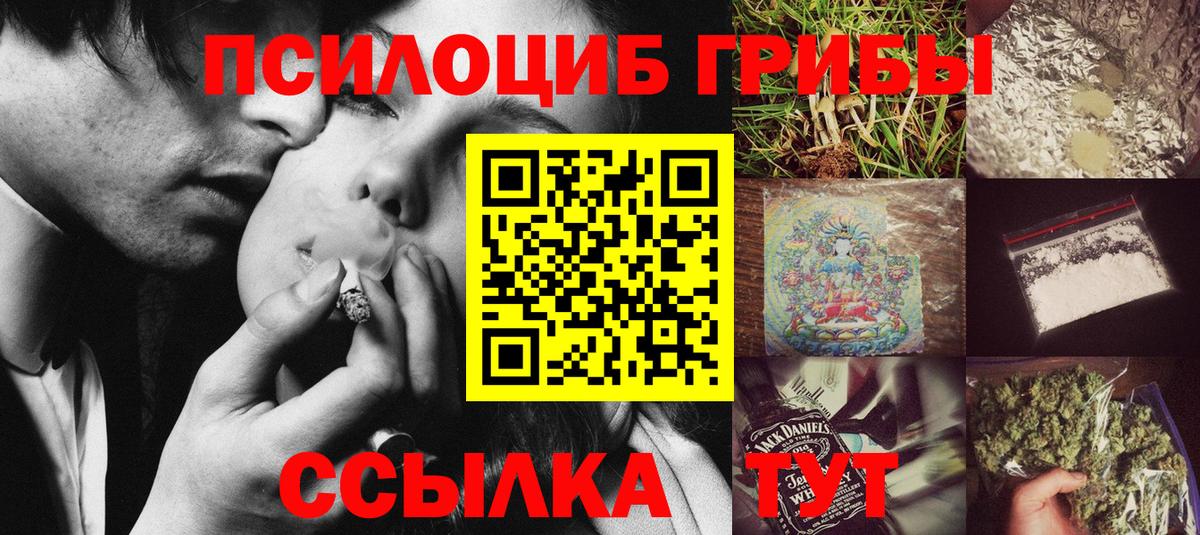 даркнет сайт  Галлюциногенные грибы мицелий  Вход с VPN  Междуреченск 