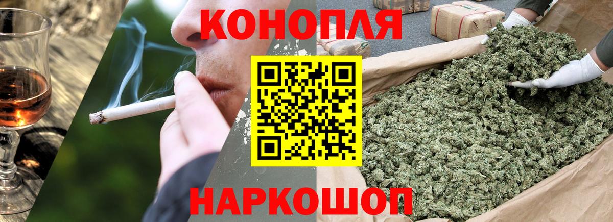 Каннабис сатива Междуреченск